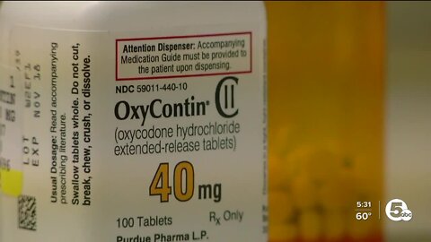 Stopping the stigma: Lorain County mom shares tragic story of sons' deaths on Overdose Awareness Day