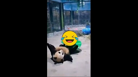 Try Not To Laugh Challenge! 😂 Funniest Fails of the Week | FUNNY VIDEO | Most Watched | 3