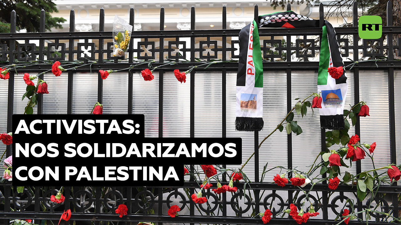 Activistas: Nos solidarizamos con Palestina, donde se está derramando sangre de civiles