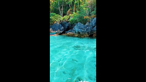 crystal clear water palawan