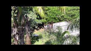 Sound of Children Playing