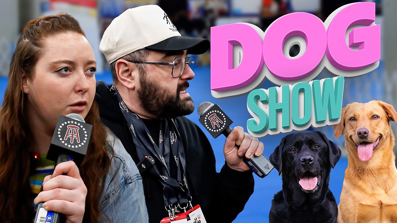 Meet The Breeds Dog Show ft Grace O'Malley | Out & About Adventures Ep 2