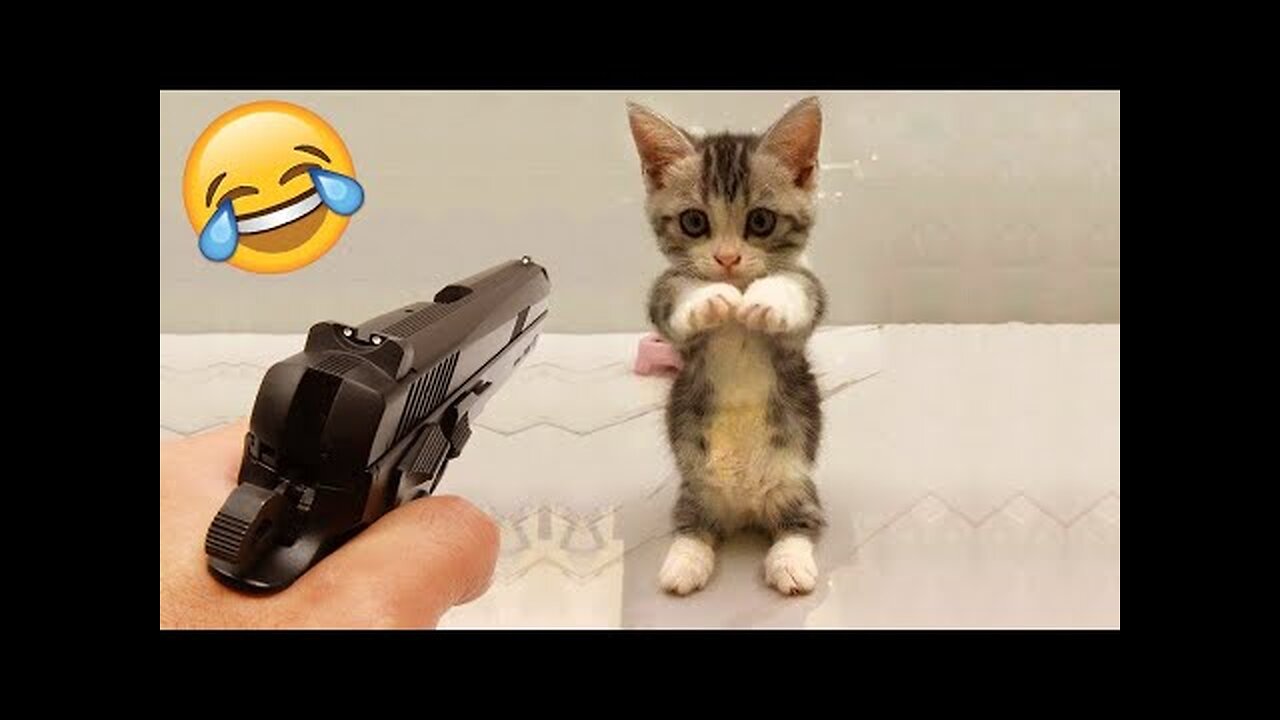 FUNNY CATS and DOGS 🐱🐶 & BIRDS, HORSES 🐾 New Funniest Animals Videos 2023 😂