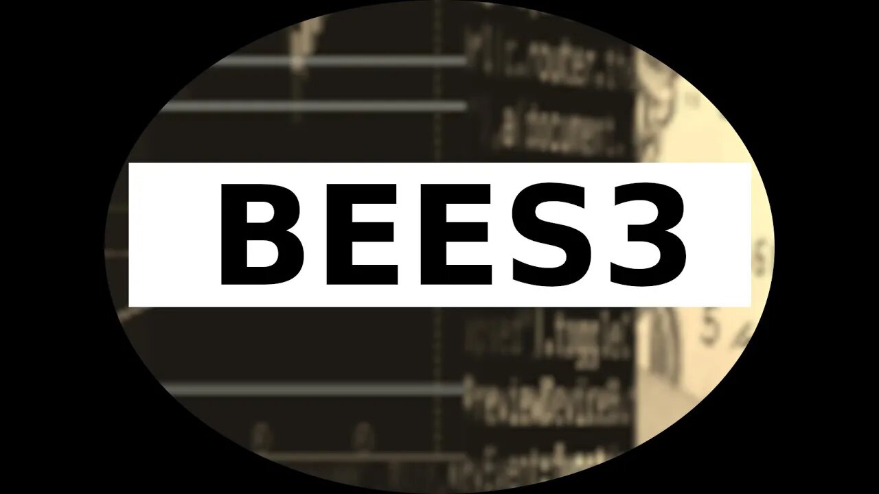 BEES3: R$5,33 virou suporte!