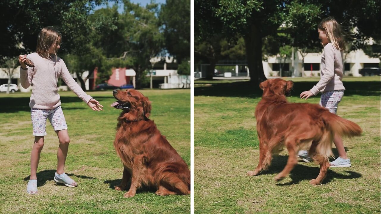 How this Dog and Little Girl Became Best Friends