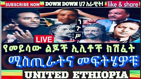 የመይሳው ልጆች ኤልት ክሽፈትና መፍትሄውቻቸው