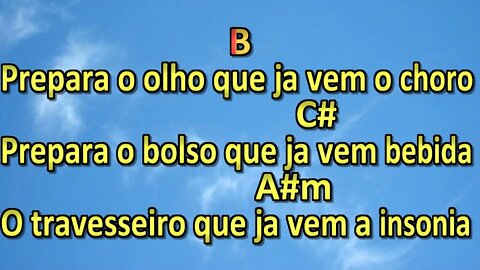 quem me colocou pra beber baroes da pizadinha karaoke playback 2