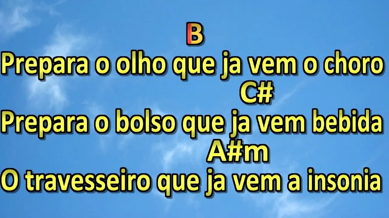 quem me colocou pra beber baroes da pizadinha karaoke playback 2