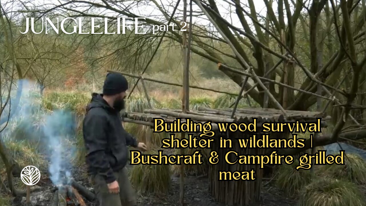 Building wood survival shelter in wildlands | Bushcraft & Campfire grilled meat 2