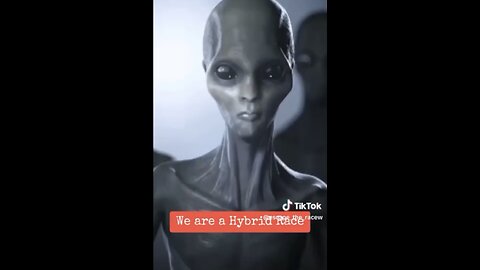 HUMAN BEINGS👩‍🦰ARE A HYBRID RACE🧬OF ALIENS🧝‍♀️EXTRATERRESTRIALS🧝‍♂️🌐🧚‍♀️🛸🌌🧚‍♀️🪐👽