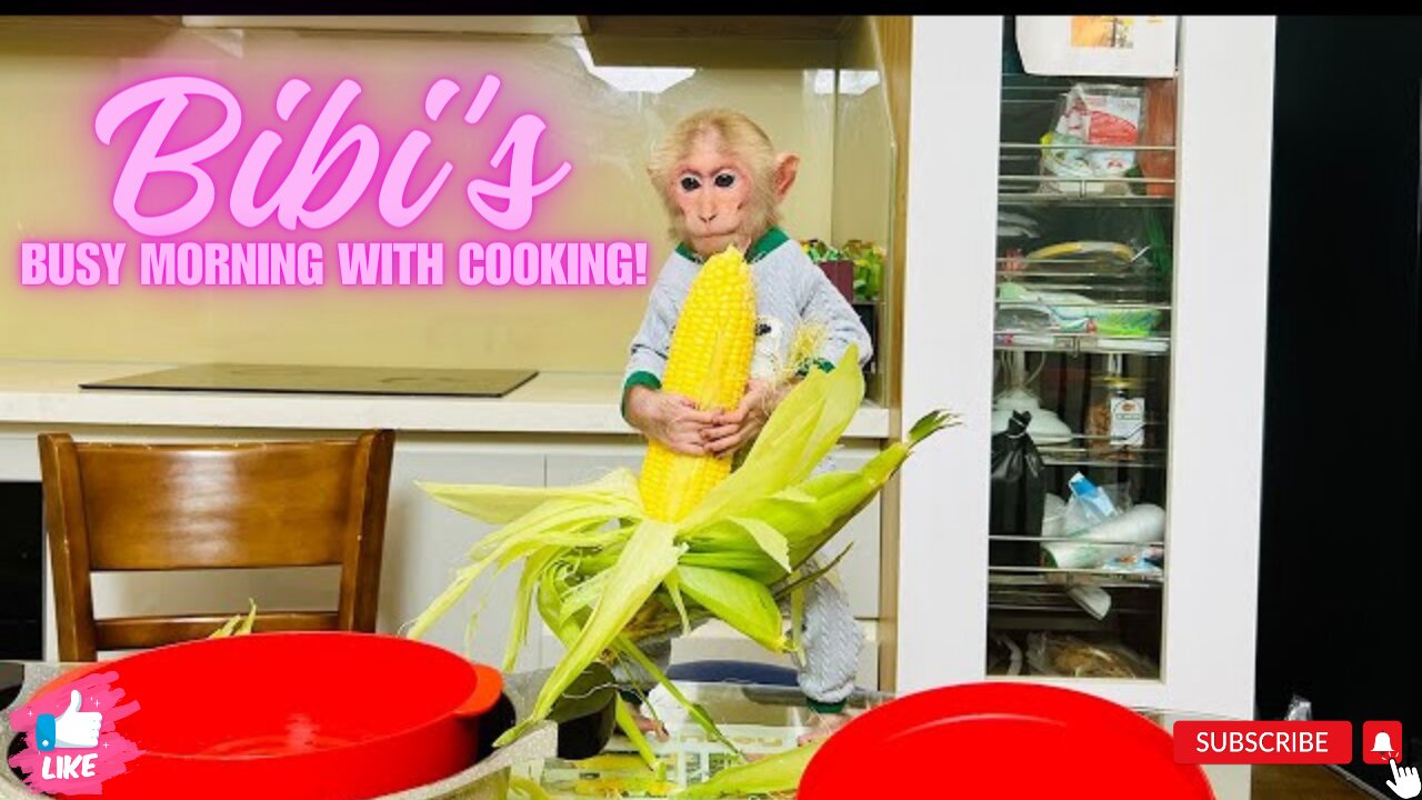 Bibi's Busy Morning With Cooking!