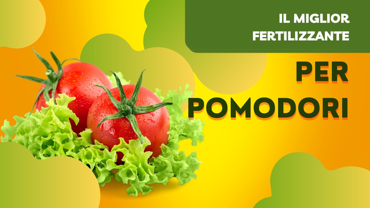 Il miglior fertilizzante naturale per pomodori