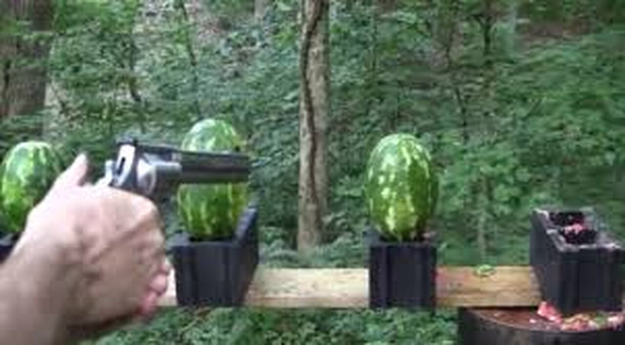 Howda Pistol vs Watermelon