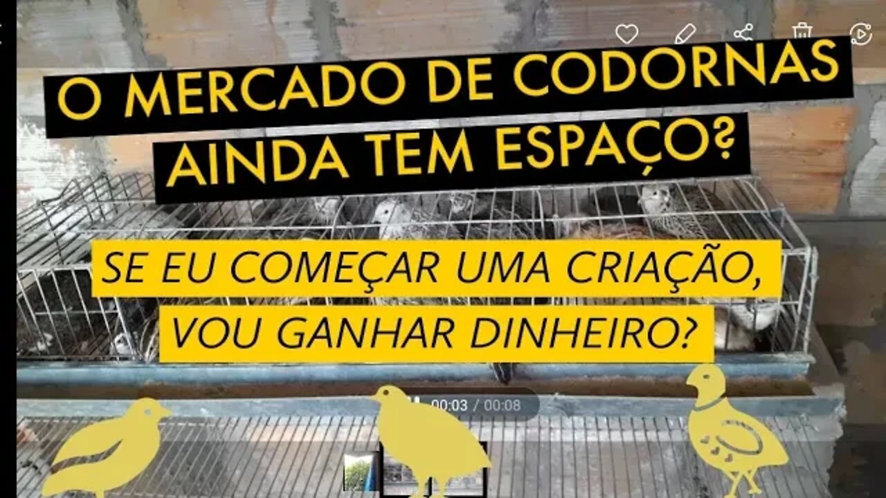 GANHE DINHEIRO COMEÇANDO UMA CRIAÇÃO DE CODORNAS HOJE / VIVER DE CODORNA