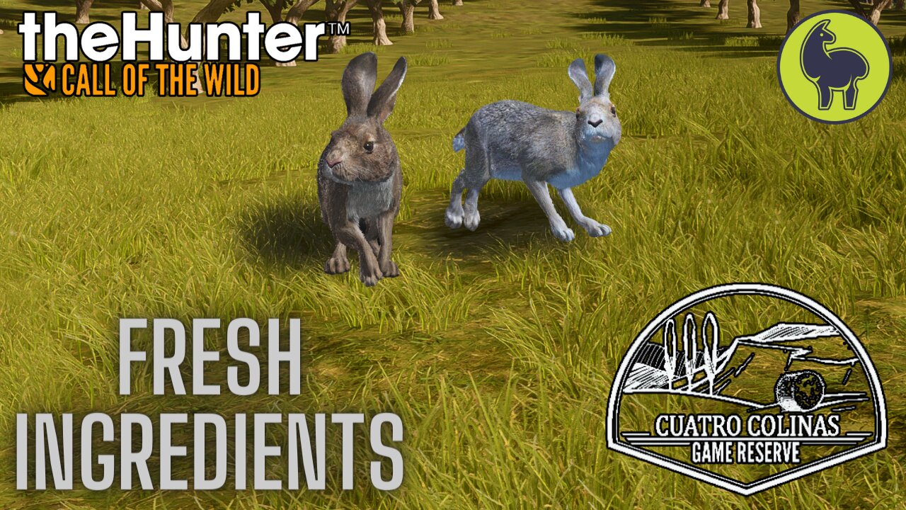 Fresh Ingredients, Cuatro Colinas | theHunter: Call of the Wild (PS5 4K)