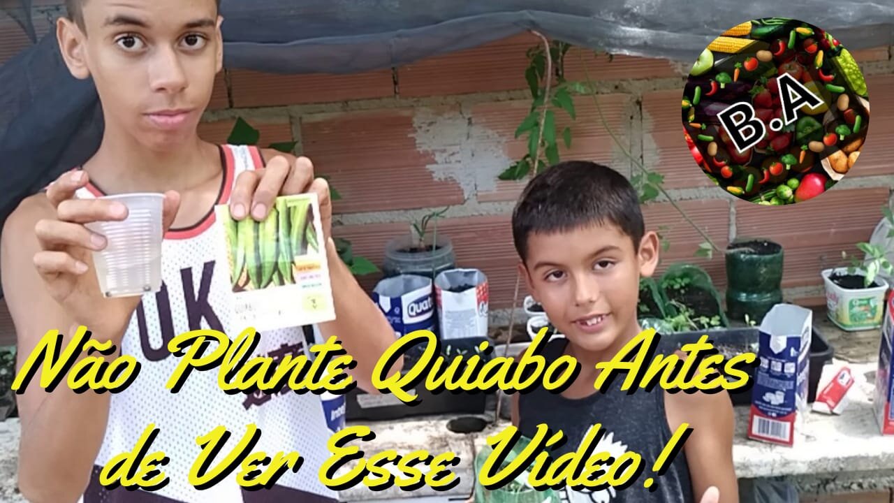 Como GERMINAR TODAS as SEMENTES de QUIABO #diygarden #hortaorganica #quiabo