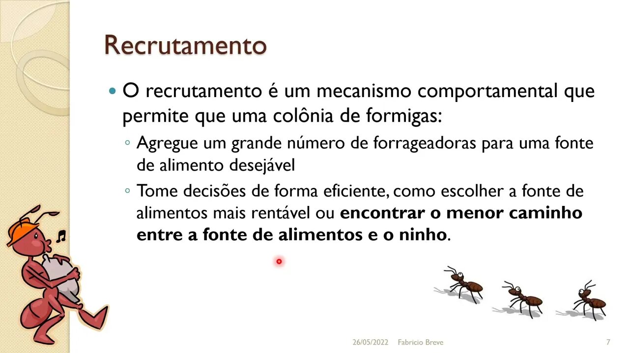 11 - Ant Colony Optimization - Computação Inspirada pela Natureza