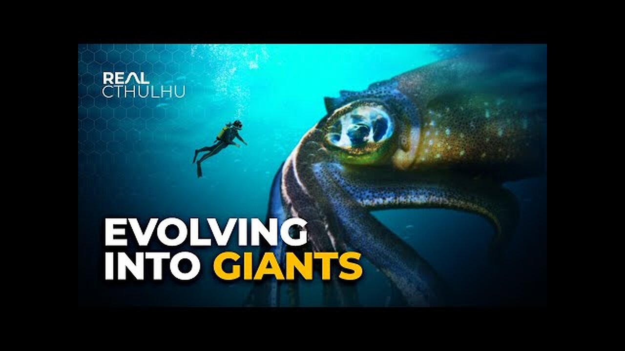 Why Do Deep Sea Creatures Evolve Into Giants?