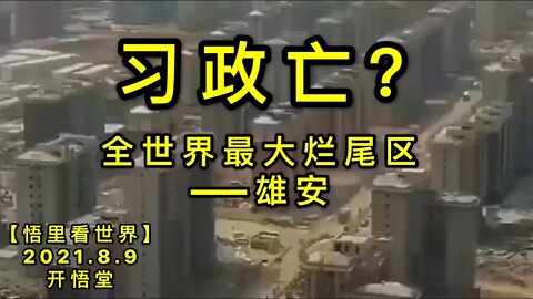 KWT2233习政亡? 20210809-9【悟里看世界】