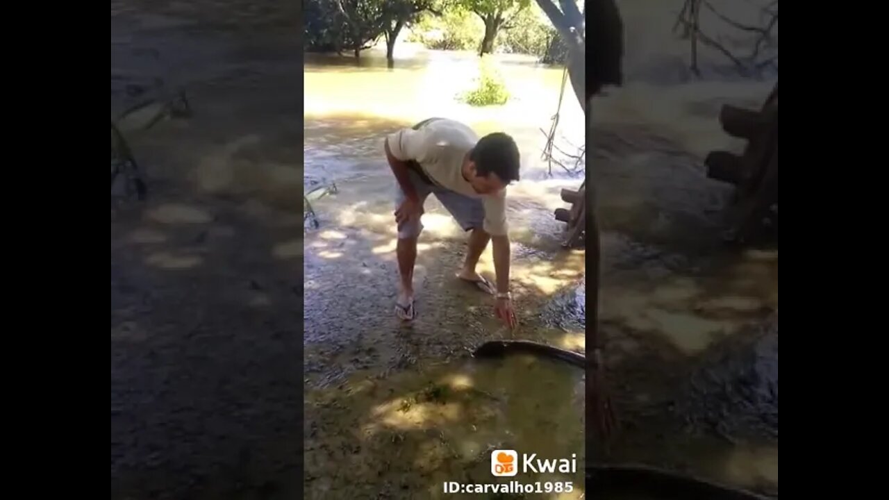 #shorts #kkkkkkk #viral #cobra
