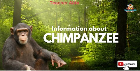 Information about | Chimpanzee | Teacher Aide | Australia | English| Endangered |