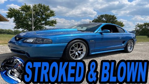 STROKED' & BLOWN SN95 is a true street killer!