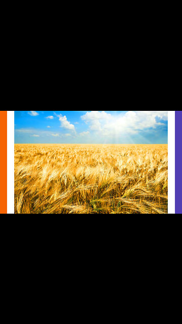 Russia Halts Fertilizer Exports