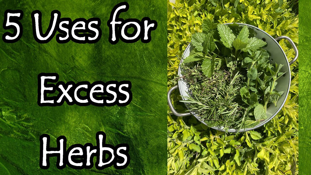 5 Ways to Use Those Excess Herbs