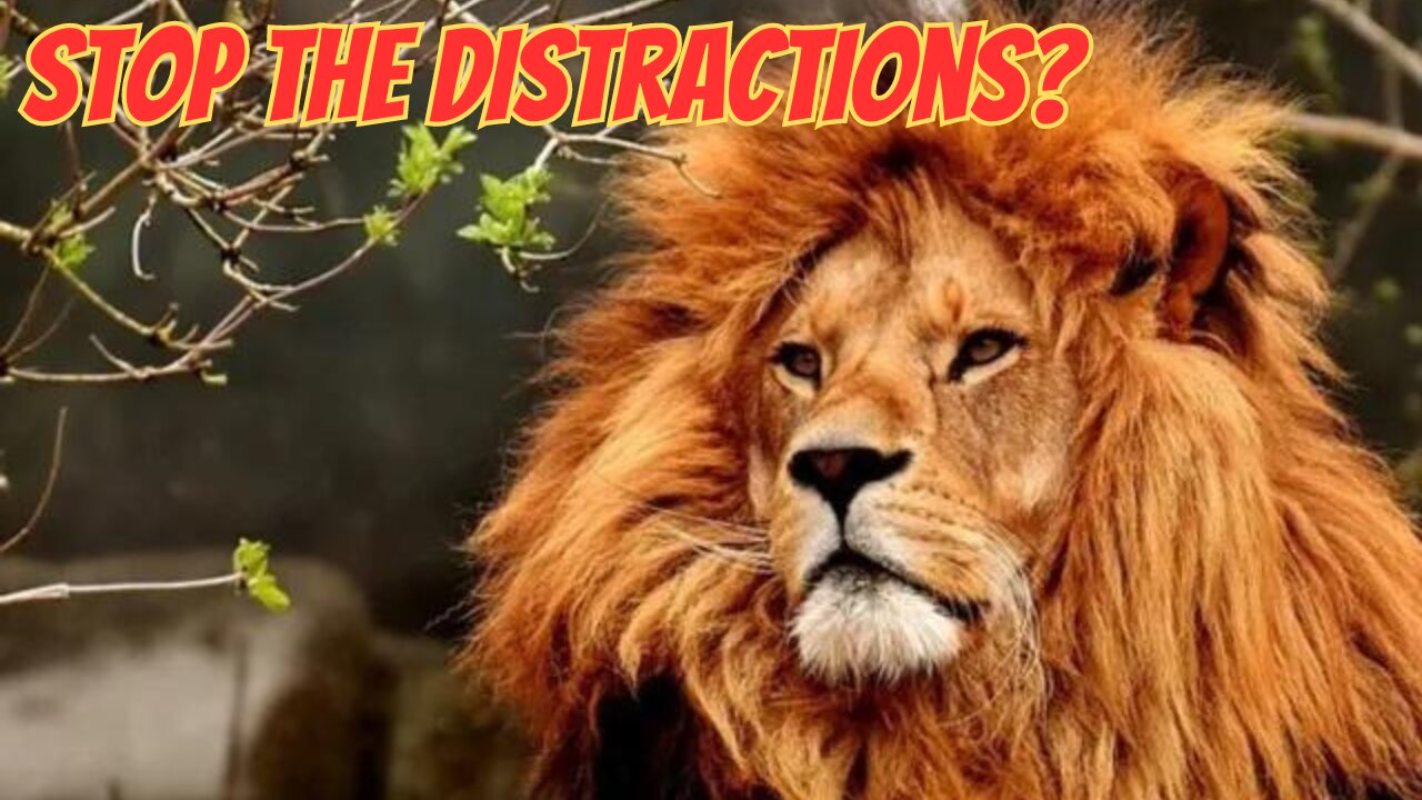 LOVE IS A DISTRACTION