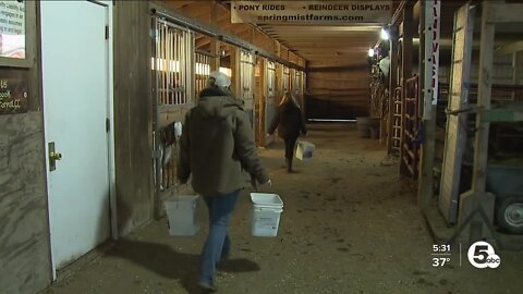 Brunswick teen embraces agriculture, encourages others to work on the farm