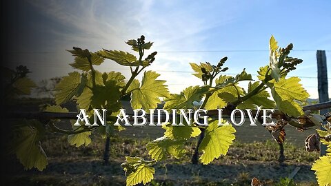 An Abiding Love