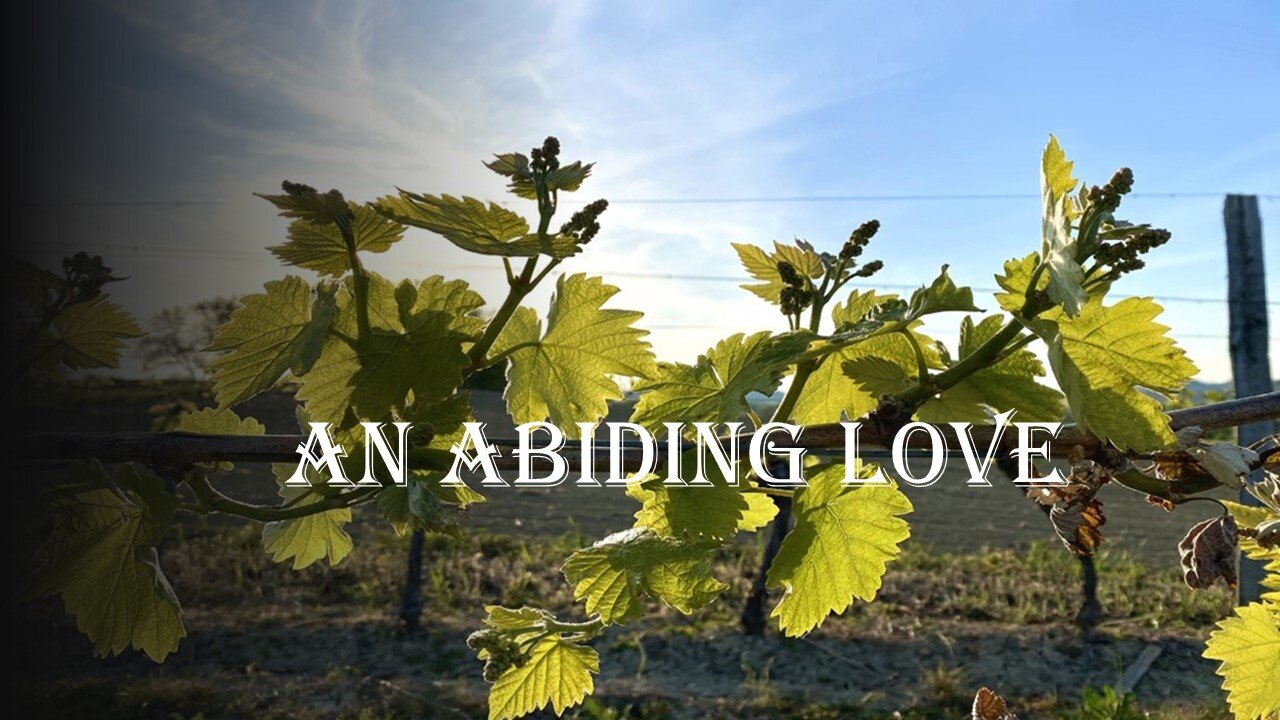 An Abiding Love