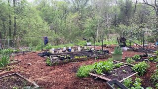 Garden Time with Spring Song