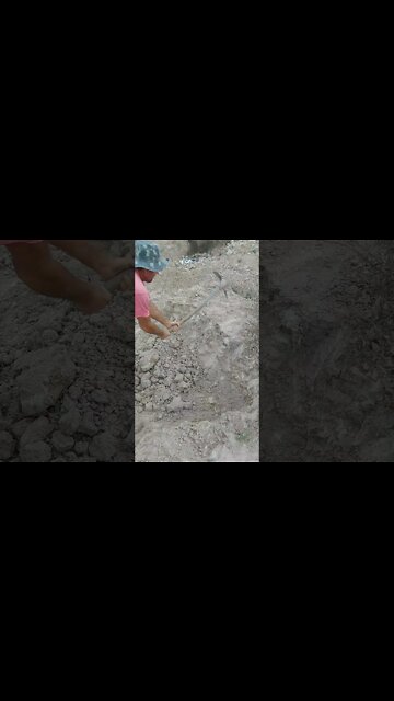 O que vamos fazer com esse material?