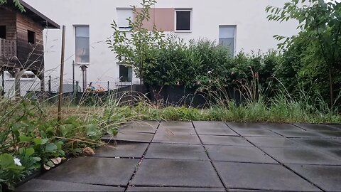 Highlight 7:45:33 – 7:50:34 von Silent Long LIVE for wh update in the garden in the rain @TravelGeor