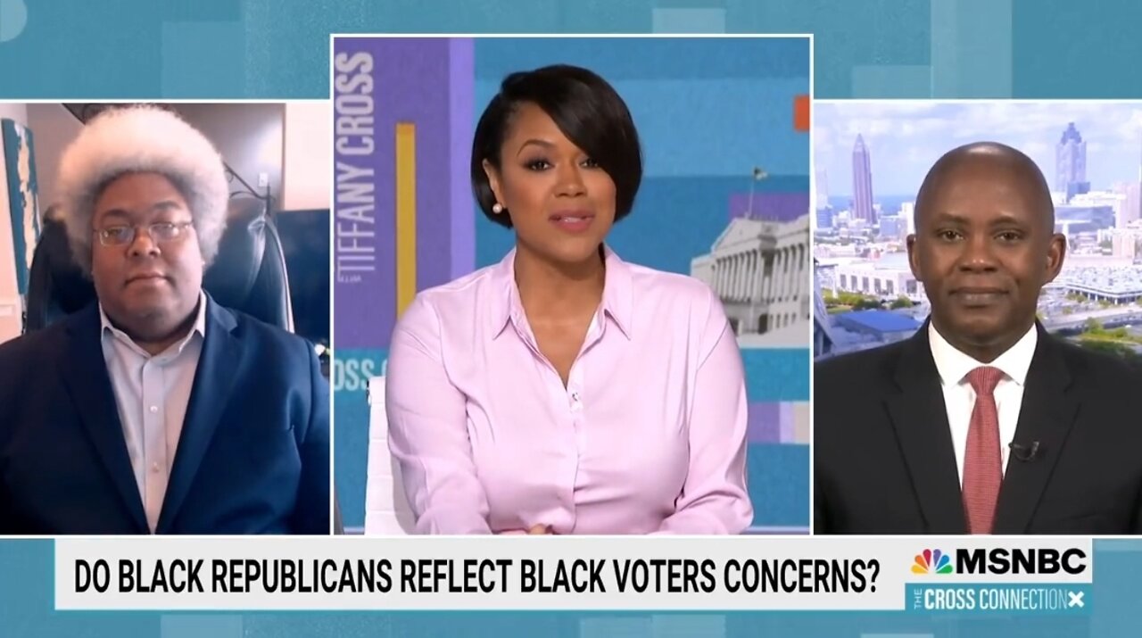 Republican Schools 2 Democrats On MSNBC: Stop Crying About Voter Suppression