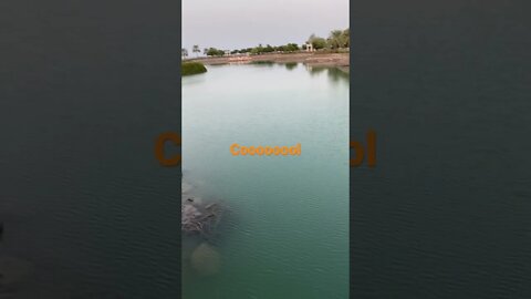 #short #subscribe #beautiful #oman# ravi