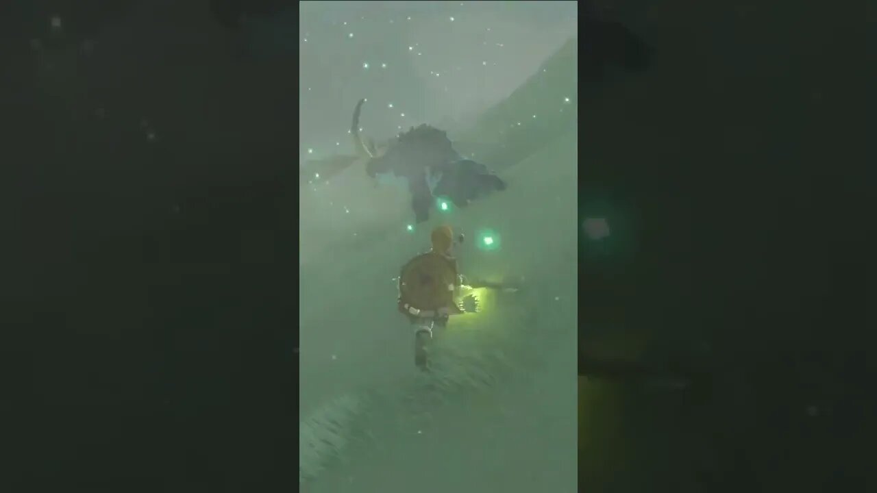 Frozen Meat In Legend of Zelda Breath of The Wild #shorts