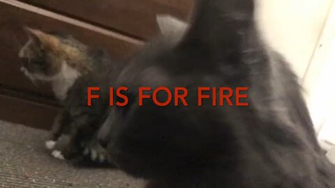 Kitty Armageddon Song