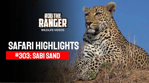 Safari Highlights #303: 02 - 05 November 2014 | Sabi Sand Nature Reserve | Latest Wildlife Sightings