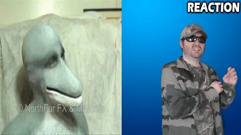 Dolphin Muzzle REACTION!!! (BBT)