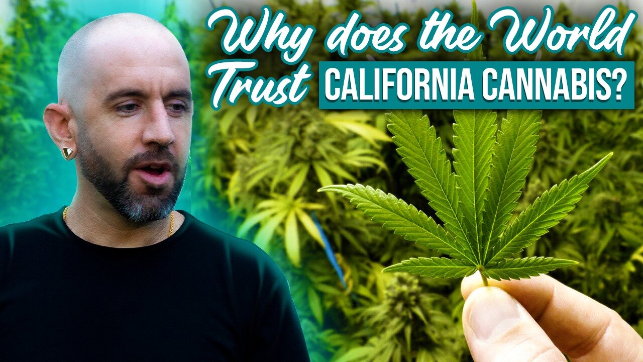California Cannabis | High Chris