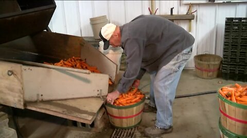 Carrot Man: Man has been bringing his harvest to West Allis Farmers Market for 3 decades