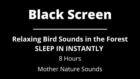 Relaxing Bird Sounds in the Forest SLEEP IN INSTANTLY - BLACK SCREEN - Bird Forest | 8 Hours