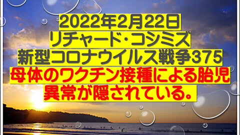 2022.02.22 リチャード・コシミズ新型コロナウイルス戦争３７５