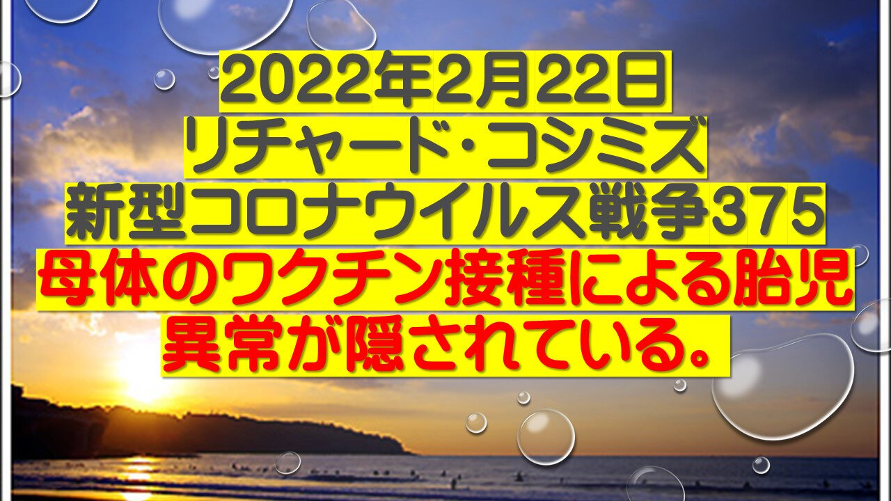 2022.02.22 リチャード・コシミズ新型コロナウイルス戦争375