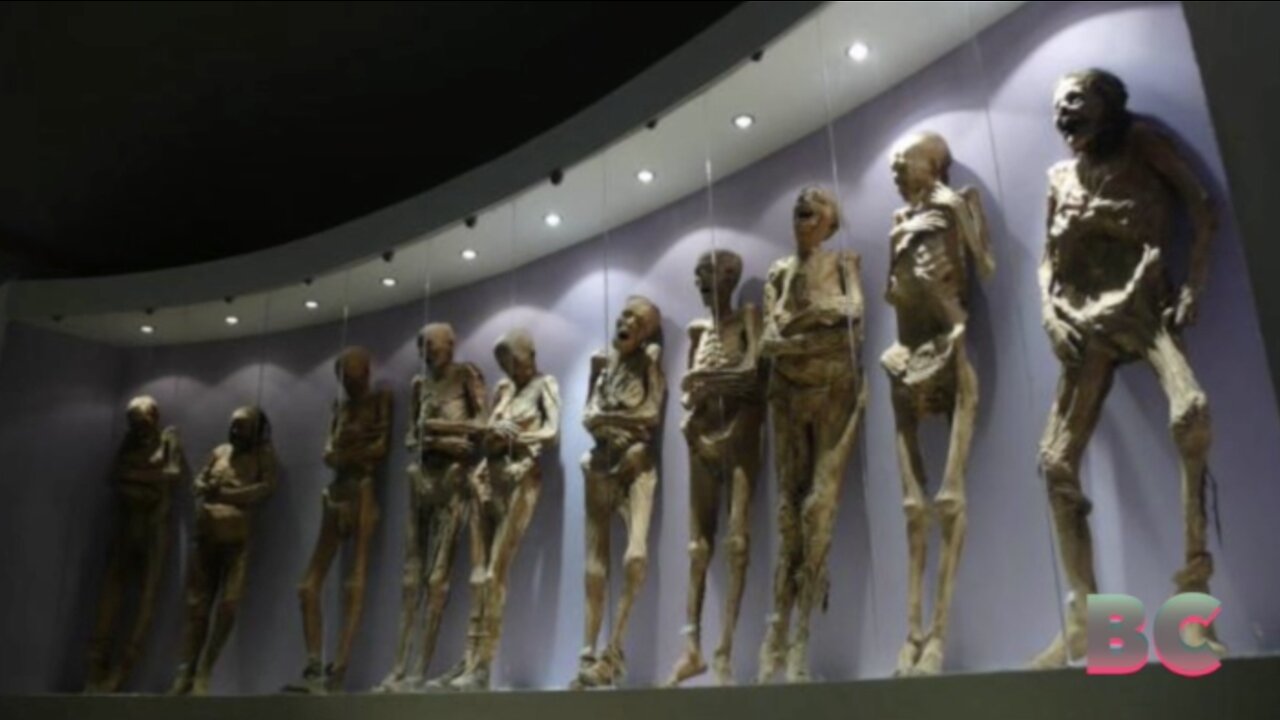 Signs of life in mummy exhibit in Mexico have experts worried for those who get close