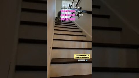 cute cat videos 😹 funny videos 😂 726 😻 #shorts #shortsfunny #cutecat #funnycat #catvideos #catscare