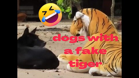 Funny dogs with a fake tiger