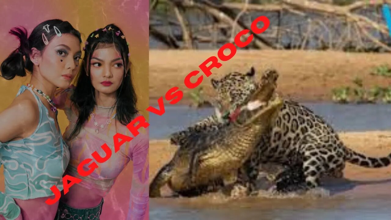 Jaguar vs croco combat à mort# incroyable#